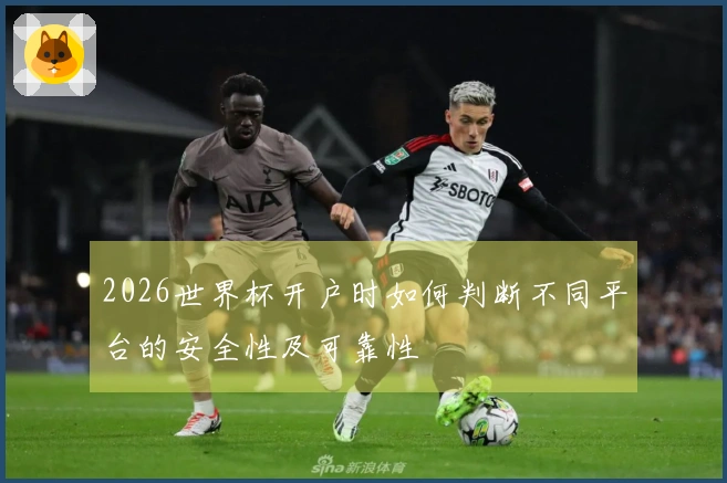 2026世界杯开户时如何判断不同平台的安全性及可靠性