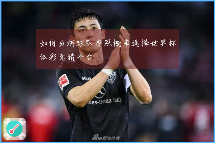 如何分析球队夺冠概率选择世界杯体彩竞猜平台
