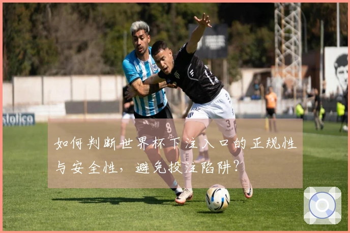 如何判断世界杯下注入口的正规性与安全性，避免投注陷阱？
